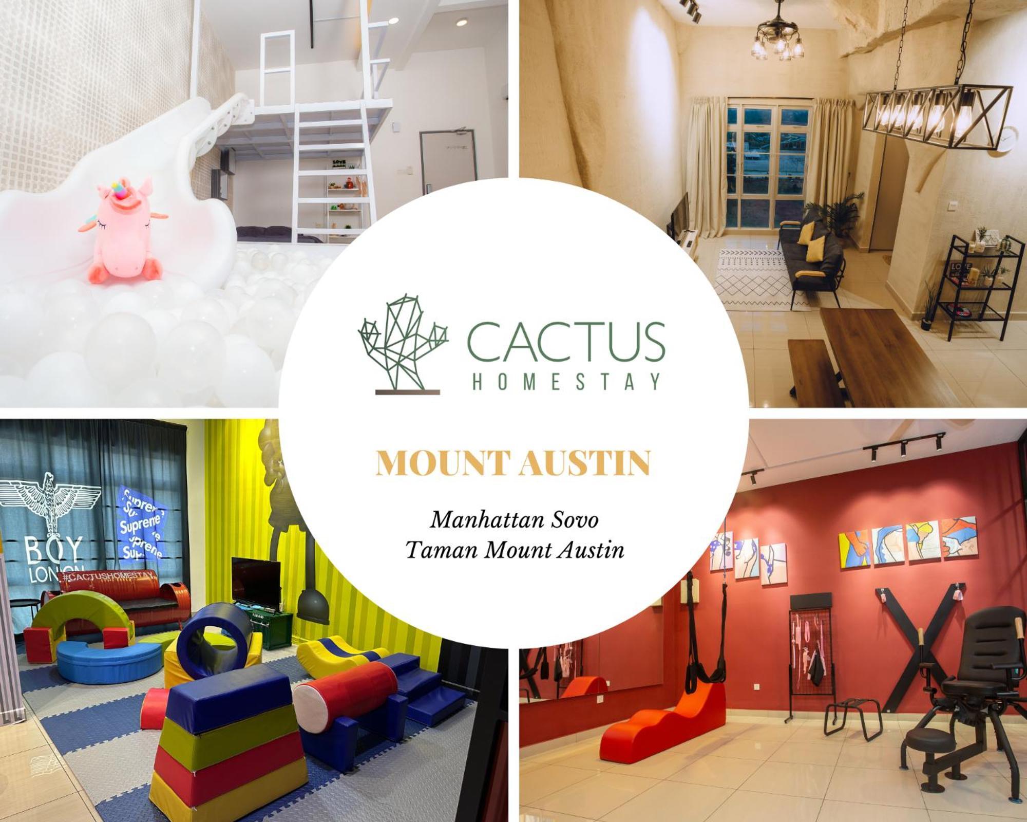 Mount Austin Manhanttan Sovo By Cactus *